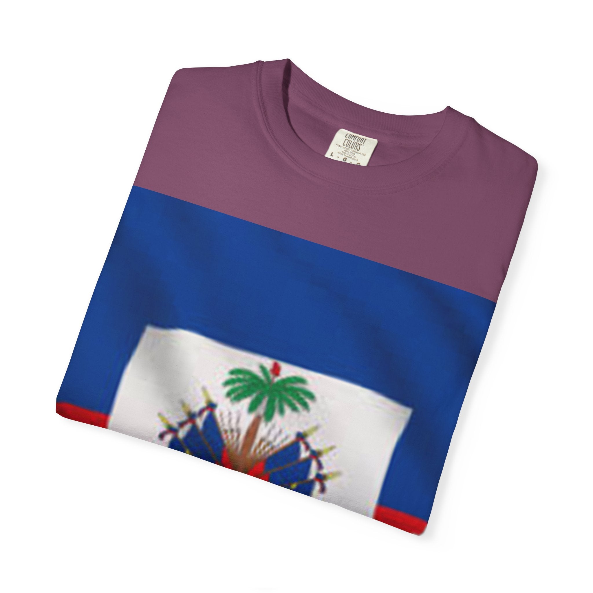 Haiti Flag T-Shirt — Haitian Crest Graphic Tee